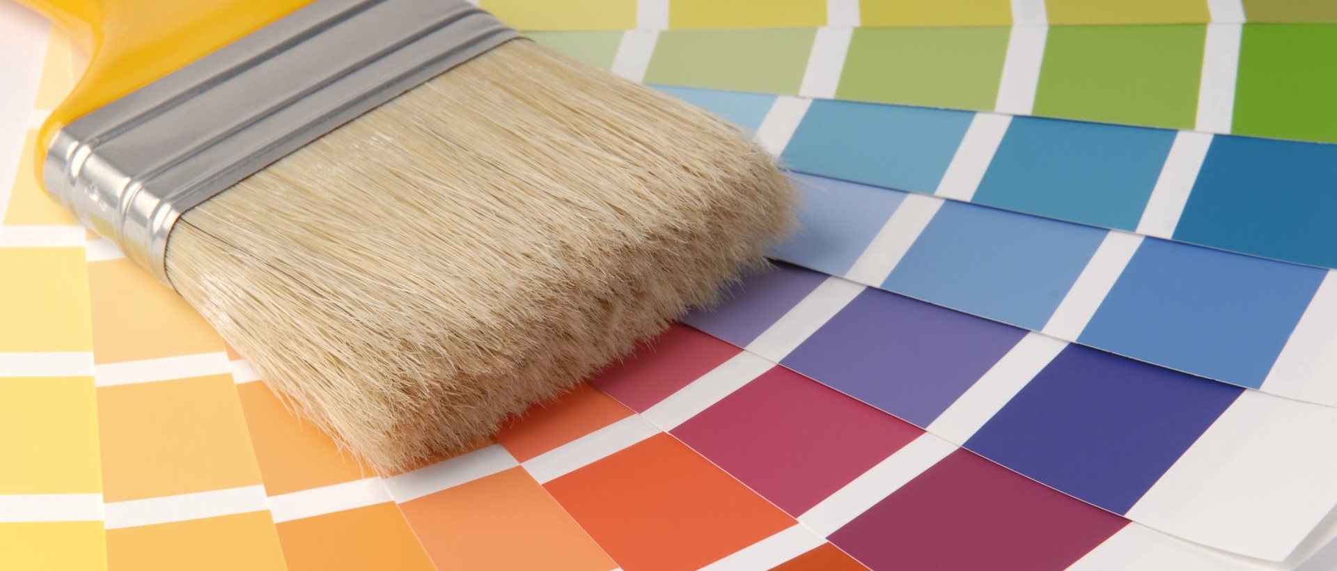 Painter N5